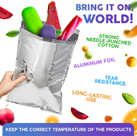 Sac pochette isolé Popupliner haute performance enveloppes métallisées enveloppe isolée pour l'expédition de Sandwich alimentaire froid