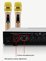 Offre Spéciale Amplificateur Karaoké 5.1 Canaux à Basses Puissantes pour Scène, Home Cinéma et Extérieur AV-369BT