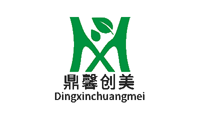 Sichuan Dingxin Chuangmei Decoration Materials Co., Ltd. logo