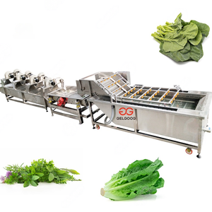 เครื่องล้างผักและผลไม้คุณภาพสูง Gelgoog สภาพใหม่ พร้อมสายการผลิตเครื่องอบแห้งผักใบเขียว - Product Image 1