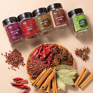 Condimento Vegano 5 en 1 en Polvo, Etiqueta Limpia, Frasco de 220g, Marca Personalizada, Especias al por Mayor B2B - Product Image 4