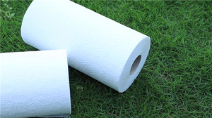 Nhà Sản Xuất OEM Bao Bì Thiết Kế Nhà Khăn Giấy Số Lượng Lớn - Product Image 5