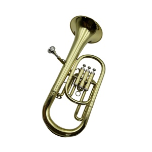 Trompa Alta Dorada de Alta Calidad SEASOUND OEM JYAH730, Nivel Profesional, Tono EB, con Pistones de Acero Inoxidable y Estuche de Lona - Product Image 5