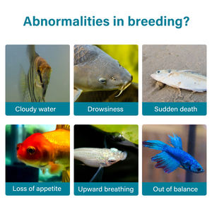 Jubway Factory Wholesale 6 en 1 Nitrite Chlorure Dureté Totale Carbonate Qualité de l'Eau pour l'Aquaculture pour Bandes/Bouteille - Product Image 6