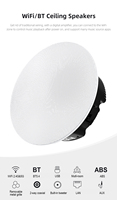 Haut-parleur de plafond professionnel sans fil WIFI BT de 6,5 pouces avec amplificateur pour home cinéma