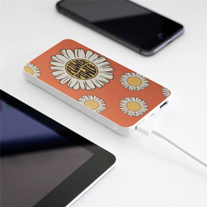 Giá rẻ khuyến mại Quà Tặng Slim kép USB OEM Logo Powerbank sạc điện thoại 10000mAh ngân hàng điện - Product Image 4