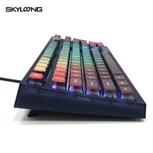 ปุ่มกดคีย์บอร์ด PBT แบบโปร่งใสพิมพ์ซับลิเมชันสี2023จาก skyloong สำหรับผู้ผลิต <span class=keywords><strong>keycaps</strong></span> - Product Image 5