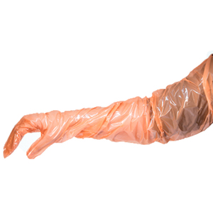 Guantes Veterinarios Cater Inseminar <span class=keywords><strong>Vacas</strong></span> Ai, 100 Unidades, Guantes de Palpación Rectal - Product Image 6