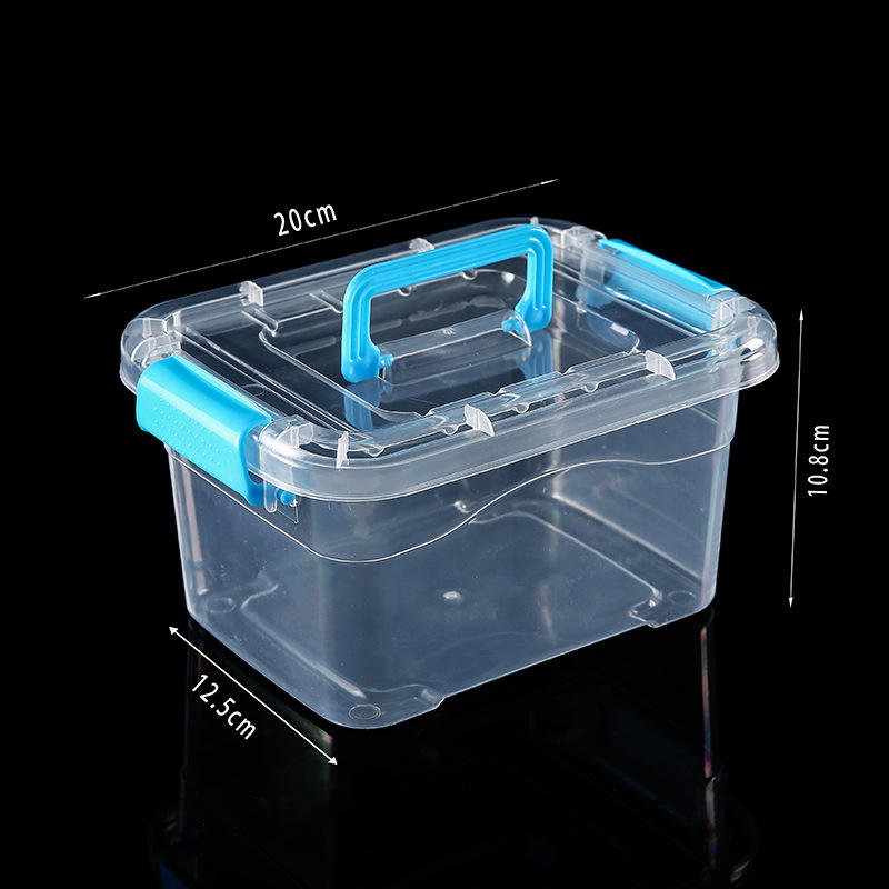 ขนาดเล็ก: สีฟ้าใส