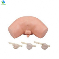 Mannequin d'enseignement médical modèle anatomique de simulateur d'examen de la prostate humaine éducatif pour l'examen de la prostate