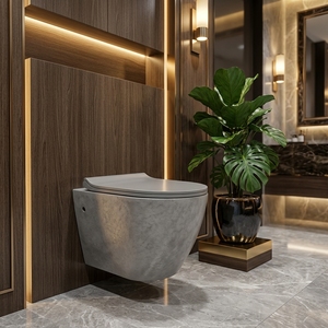 โถสุขภัณฑ์แบบแขวนผนังสีเงิน โถสุขภัณฑ์เซรามิกสีทองแบบแขวนผนัง - Product Image 4