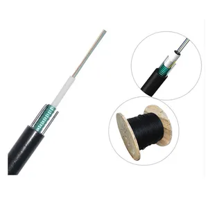 2 4 6 8 12 16 24 Core Single Mode Outdoor Armoured Optical Cable Gyxtw Multicore Telecommunication Fiber Optic Cable