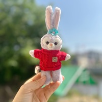 Gantungan Kunci Bintang Dailu 15CM yang Menggemaskan, Mainan Kartun Lucu Lulu, Pakaian Bayi Bunga Bambu Berwarna Bubuk, Rok Belle, Hanya Pakaian