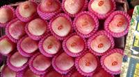 Verse Appel Uit China Beste Prijs Chinese Vruchten