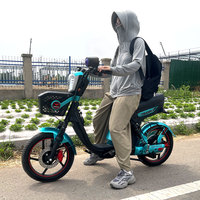 Bicicleta Eléctrica con Neumático de 18 Pulgadas, Motor de 24 Imanes, Controlador de 9 Tubos y Reproductor MP3 Bluetooth