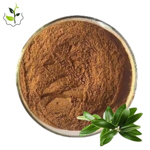 オリーブ葉エキス粉末オリーブ葉エキス - Product Image 1