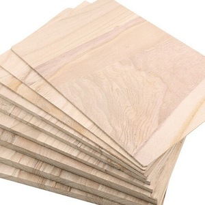 Toddmomy 10 Tavole Da Battuta In Legno Per Taekwondo E Karate | 30x20 Cm | Assi Sottili Per Allenamento E Roture | Bambini E Adulti - 5
