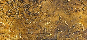 Plaque de placage en marbre/quartzite translucide brun Tan de Flatstone Designs, garantie 5 ans, murs et plafonds intérieurs modernes rétroéclairés - Product Image 3