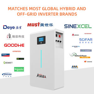 Batería de Pared para el Hogar de 10 kWh, 15 kWh y 20 kWh con 10 Años de Garantía, Batería LiFePO4 de 48 V, Almacenamiento de Batería de Iones de Litio para Sistema Solar - Product Image 3