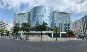 Popular Floral &amp; Fruity Fragrance Oil for Shampoo Factory Supply Long Lasting Custom Made <strong>Hair</strong> Care Fragrance - Product Image 3