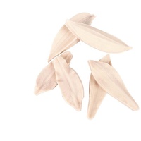 Moule à Fondant en silicone, pâte à gomme naturelle de lys en forme de fleur, sandwichs