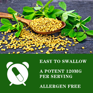 Cápsulas de Extracto de Fenogreco Nutritivo, Multivitamínico con Alto Contenido de Saponinas, Nutritivo para los Riñones y Refuerzo de la Vitalidad, Suplemento Tónico Premium - Product Image 5