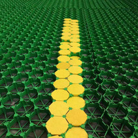 Grille de stabilisation du sol en HDPE anti-âge pour allées de manades de chevaux et espaces verts