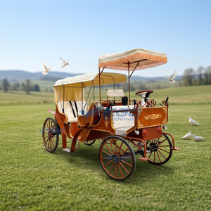 Calèche de tourisme électrique à capot blanc effet bois pour parc, idéale pour les mariages, facile à utiliser - Product Image 1