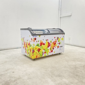 Congelador Horizontal Comercial con Doble Puerta, Diseño de Gran Capacidad, Vitrina para Supermercado - Product Image 1