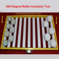 Incubadora Multifuncional para 64 Huevos de Gallina, Pato y Ganso, con Bandeja Giratoria Automática de 360 Grados