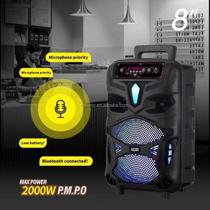 Altavoces Karaoke para Exteriores <span class=keywords><strong>NDR</strong></span> P44 P55 P66, Altavoz Bluetooth Portátil con Pantalla LED y Woofer de 8 Pulgadas - Product Image 4