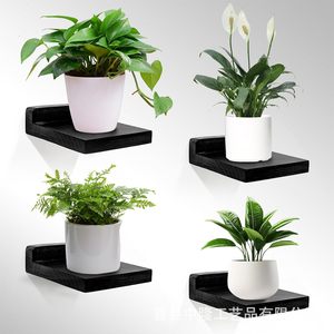 <b>Wall</b> <b>Mounted</b> Wooden Plant <b>Shelf</b> Rectangle Floating Display Panel For Indoor Greenery Storage - Product Image 3