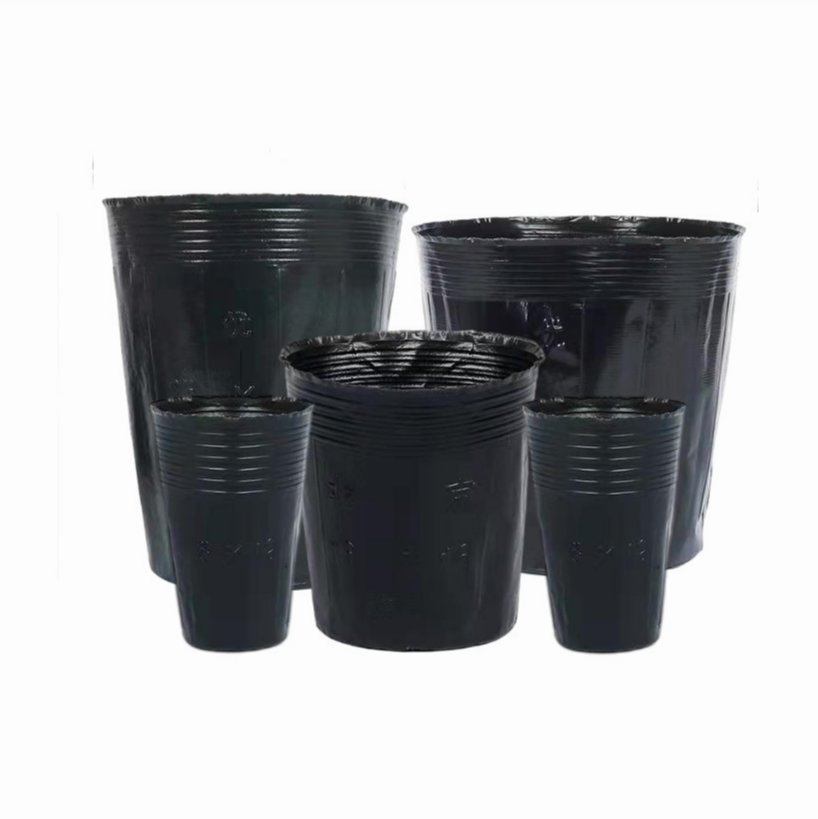 Exquisite disposable plant pots to Dazzle Up Your Décor - Alibaba.com