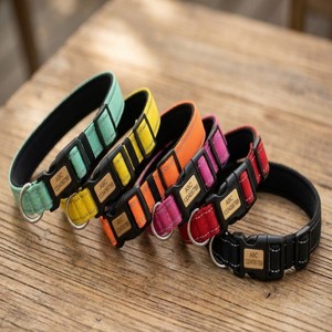 YG-103 Mode Ademend Gepersonaliseerd Reflecterend Webbing Gegraveerd Verdikt Nylon Halsband - Product Image 2