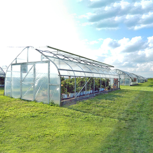 Invernadero de Fábrica Baolida de 8x37.5m y 4m de Altura con Puerta, Techo de Lámina y Película de Polietileno para Jardín Trasero - Product Image 6