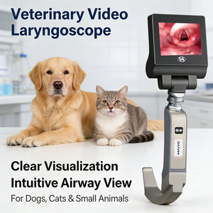 Videolaringoscopio para Intubación Animal, 70 Grados, Pantalla HD de 3.5 Pulgadas, Cámara de 3MP, Endoscopio Rígido Reutilizable Veterinario - Product Image 2