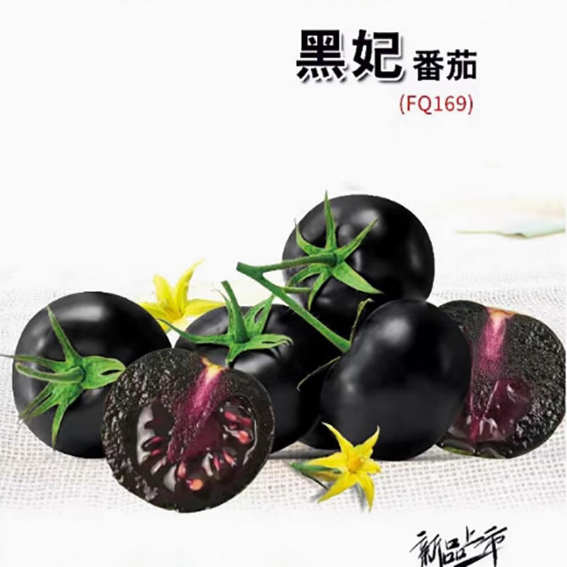 4# มะเขือเทศดำ