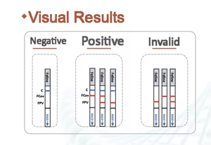 Kit de Prueba de Ácido Nucleico para Infecciones Sexualmente Transmisibles (IST) Multiplex, Reactivo de Diagnóstico Rápido de Alta Sensibilidad - Product Image 2