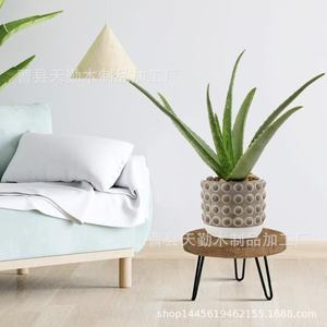 Wooden flower <b>pot</b> base, indoor movable flower and plant small floor shelf, portable wrought iron leg <b>stand</b> - Product Image 2