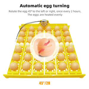 ถาดใส่ไข่ไก่สำหรับ<span class=keywords><strong>ฟัก</strong></span>ไข่ 36 ฟอง แบบมัลติฟังก์ชั่น ขายดีอันดับต้นๆ - Product Image 5