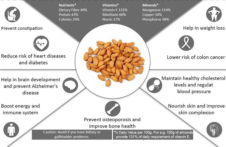 Bubuk Protein Almond organik berkualitas tinggi