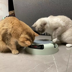 2024 nuevo <span class=keywords><strong>tocadiscos</strong></span> para gatos más vendido, juguete para gatitos, productos para mascotas, <span class=keywords><strong>tocadiscos</strong></span> giratorio en movimiento, juguete interactivo para gatos Smart Chase - Product Image 2