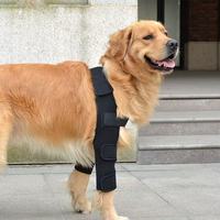 Attelle de Soutien Articulaire pour Chiens - Stabilisation des Fractures et Handicap, Sangle d'Assistance pour Patte, Chaleur et Résistance à l'Usure en Fibre de Polyester Post-Opératoire