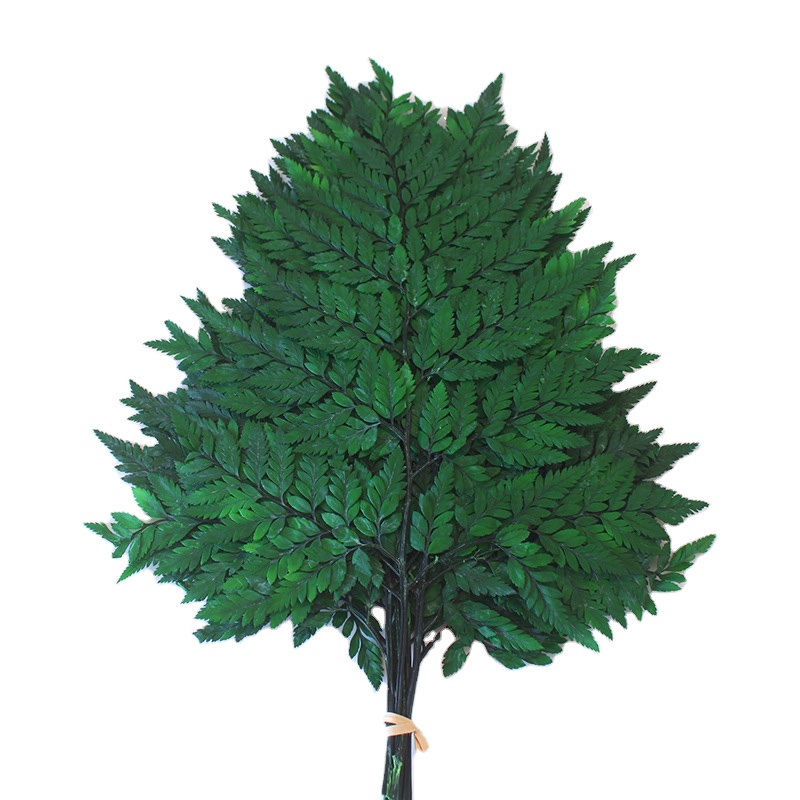 45-55cm