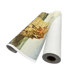 Rollo de lona de inyección de tinta poliéster 280gsm mate eco-solvente impermeable de gran formato