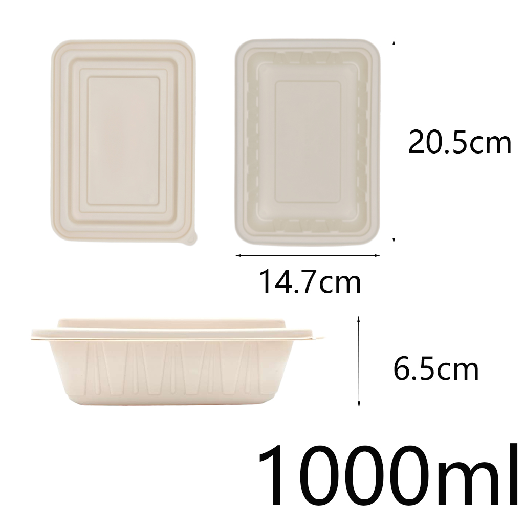 Disposable Biodegradable Food Container Lunch Box with Separate Lid for ...