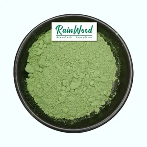 Rainwood Natural Moringa Leaf Powder Pure Natural Organic Moringa Leaf Extract Powder in Stock