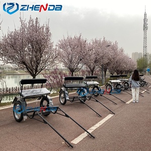 Venta Directa de Fábrica de Rickshaws y Carros de Acero de Alta Calidad, Ideales para Turismo al Aire Libre - Product Image 5