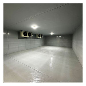 Chambre froide de qualité industrielle avec équipement de refroidissement avancé pour les installations de stockage à grande échelle de viande, de volaille et de glace - Product Image 5