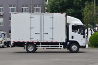 Nouveau camionnette de livraison 4,15 m, fourgonnette de fret 131 CV Diesel 2,5 L 4x2, caméra de recul, capacité de charge 1-10t, livraison urbaine, Euro 5